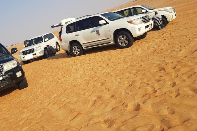 Dubai Desert Safari 4x4 Dune Bashing With Camel Riding - Participant Considerations