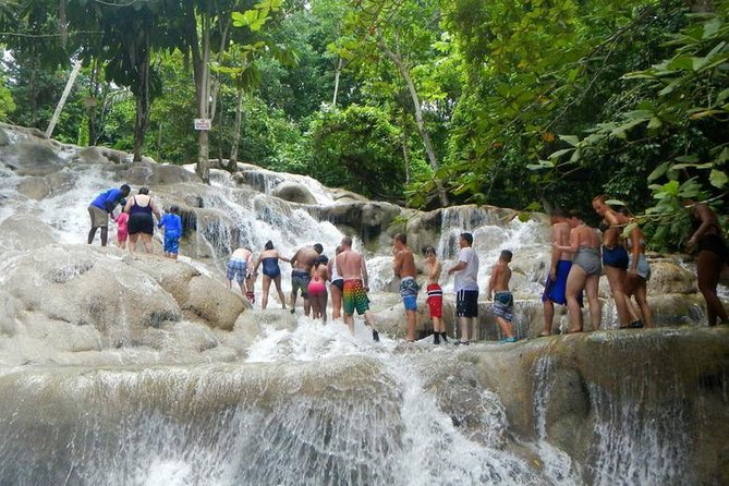 Dunns River Falls & Bob Marley - Tour Accessibility and Participation