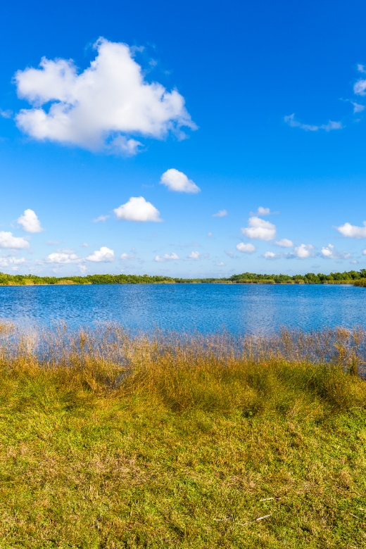 Everglades & Big Cypress Self Guided Driving Tour Bundle - Wildlife and Nature