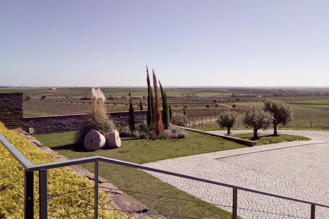 Évora - Inside the Olive Oil, Wine, and Cork Triangle (Private Tour) - Operational Details