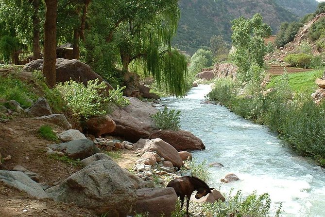 Explore the Best Waterfall Ourika Valley. - Included in the Experience