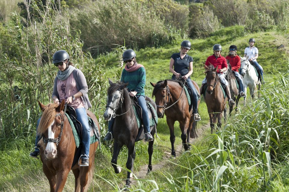 Faial Island: Horseback Riding on Lusitano Trail - Views of Atlantic Cliffs