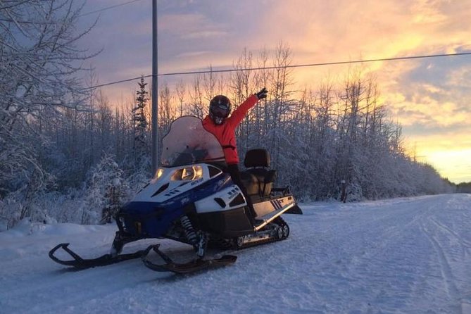 Fairbanks Snowmobile Adventure From North Pole - Physical Requirements