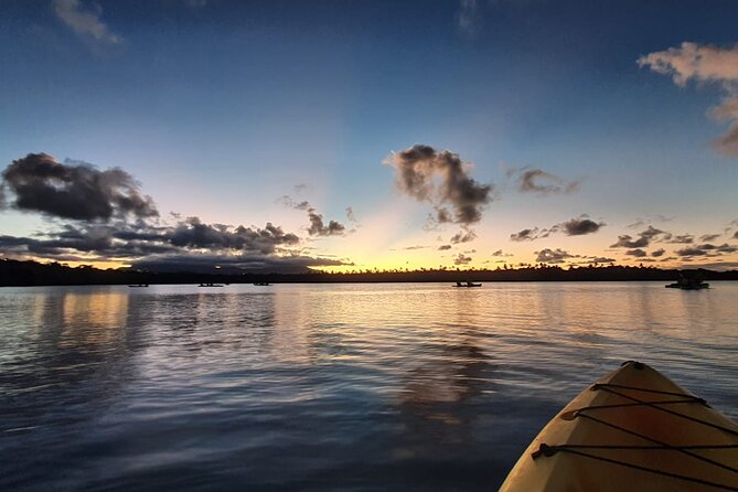 Fajardo Bioluminescent Bay Night Kayak Adventure From San Juan - Inclusions and Amenities