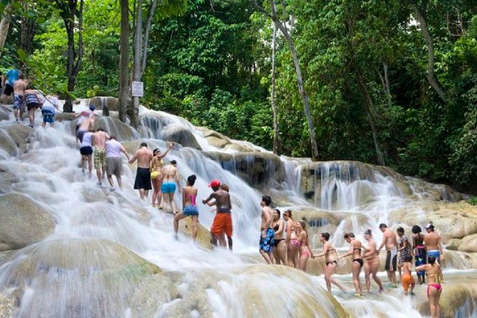 Falls Flyer Zipline and Dunns River Falls Adventure Tour From Falmouth - Private Tour Experience