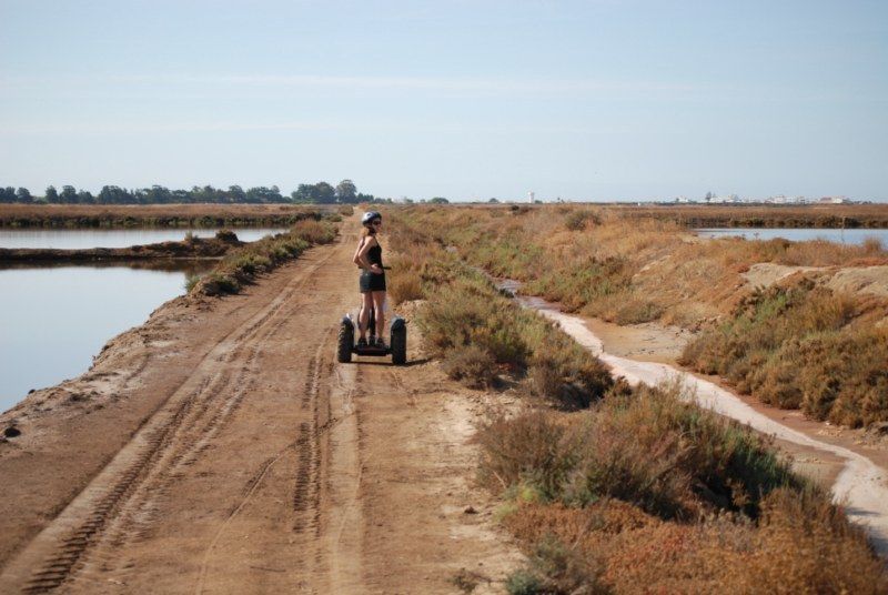 Faro: Ria Formosa Natural Park Segway Tour & Birdwatching - Birdwatching Highlights