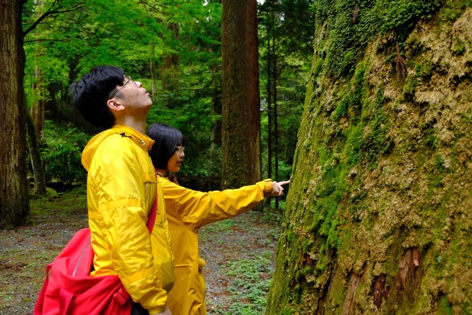 Fm Odawara: Forest Bathing and Onsen With Healing Power - Inclusions and Additional Information