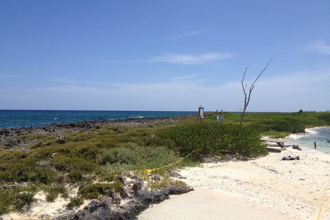 Freeport Snorkeling Peterson Cay National Park and Hotel Day Pass - Snorkeling at Peterson Cay