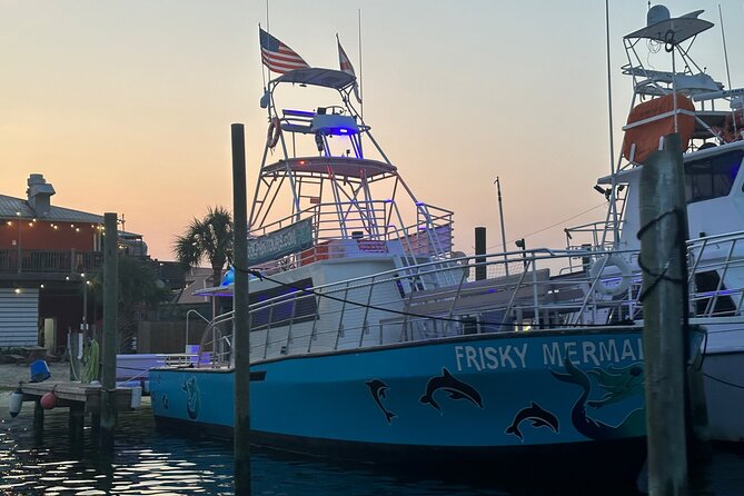 Frisky Mermaid Public Dolphin + Sightseeing Cruise Up to 49 Pax - Guest Reviews