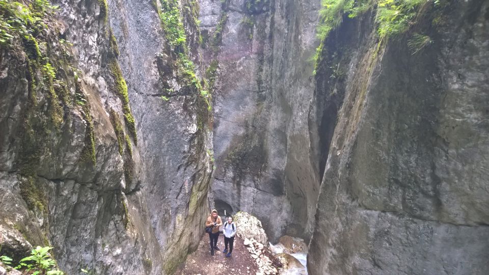 From Brasov: Day Trip to the Seven Ladders Canyon - Language and Pricing