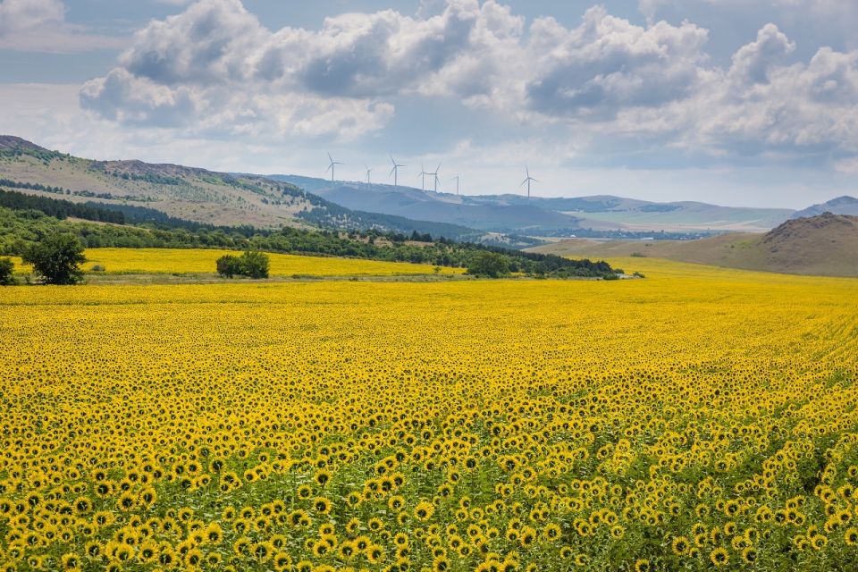 From Bucharest: 3-Day Bucovina & Transylvania Tour - Exploring Bucovina