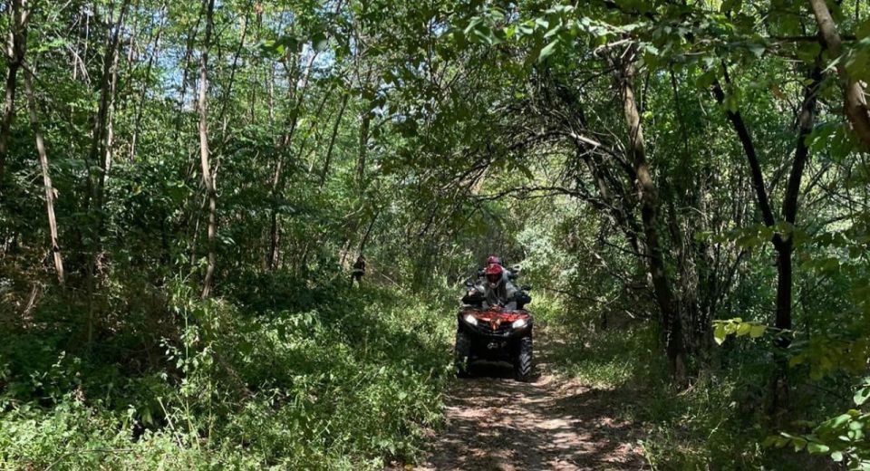 From Bucharest: Forest and Hills ATV Quad Bike Tour - Cancellation and Reservation Policy