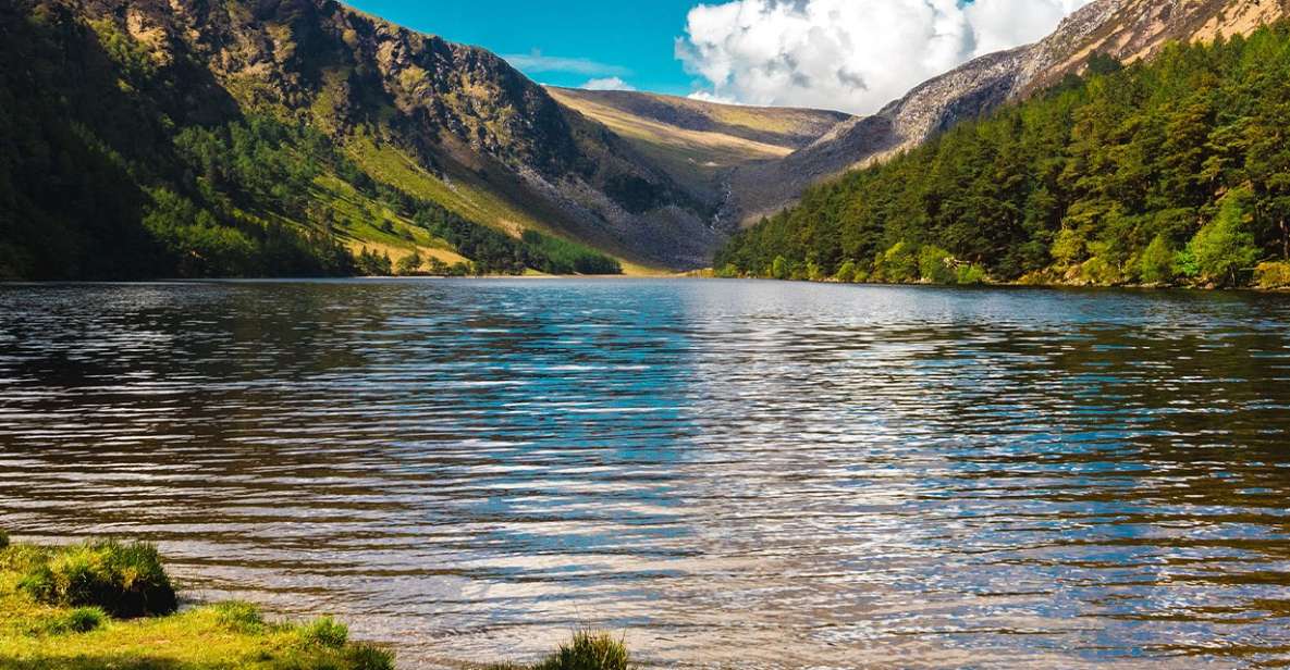 From Dublin: Half-Day Trip to Glendalough and Wicklow - Experience and Guide