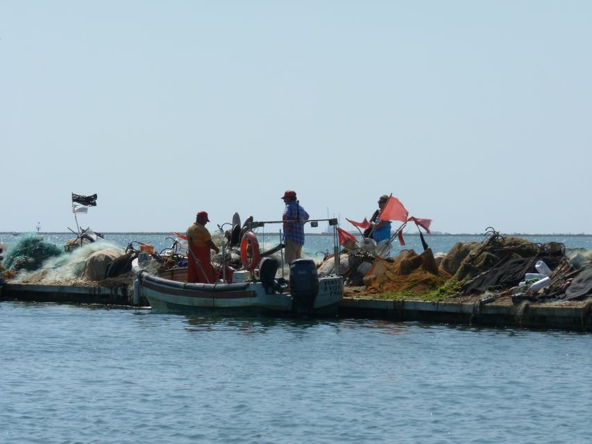 From Faro: 4 Stops, 3 Islands in Ria Formosa Catamaran Tour - Cancellation Policy and Languages