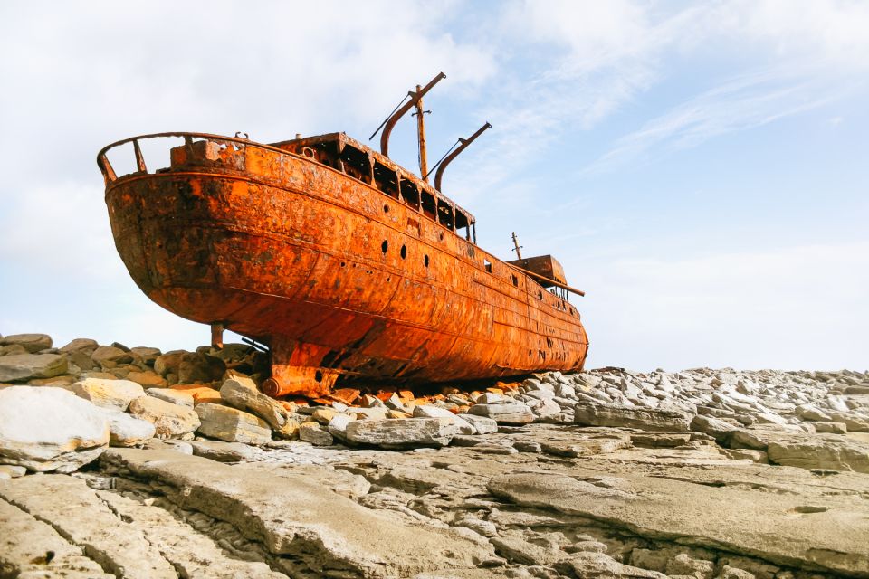 From Galway: Aran Islands Day Trip & Cliffs of Moher Cruise - Customer Experience and Reviews