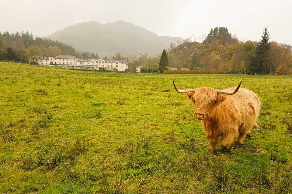 From Glasgow: Loch Lomond, Trossachs & Stirling Castle Tour - Live Commentary