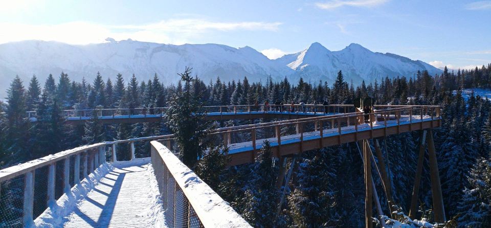 From Kraków: Slovakia Treetop Walk & 4-Hour Ski Pass - Suitable for All Skill Levels