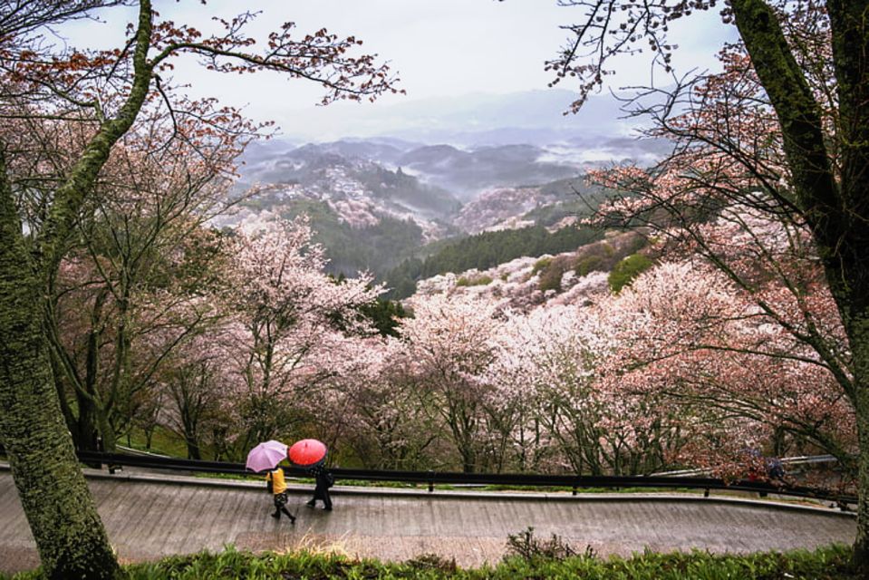 From Osaka: 10-hour Private Custom Tour to Nara - Pickup and Drop-off