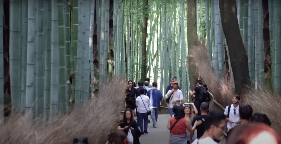 From Osaka/Kyoto: Kyoto Full-Day Sightseeing Private Tour - Frequently Asked Questions