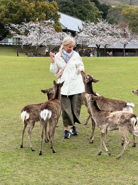 From Osaka/Kyoto:Private Kyoto-Nara Day Tour - Explore Nara