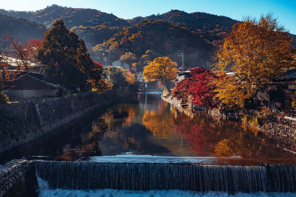 From Osaka to Kyoto: Arashiyama Bamboo Forest Tour - Participant Information