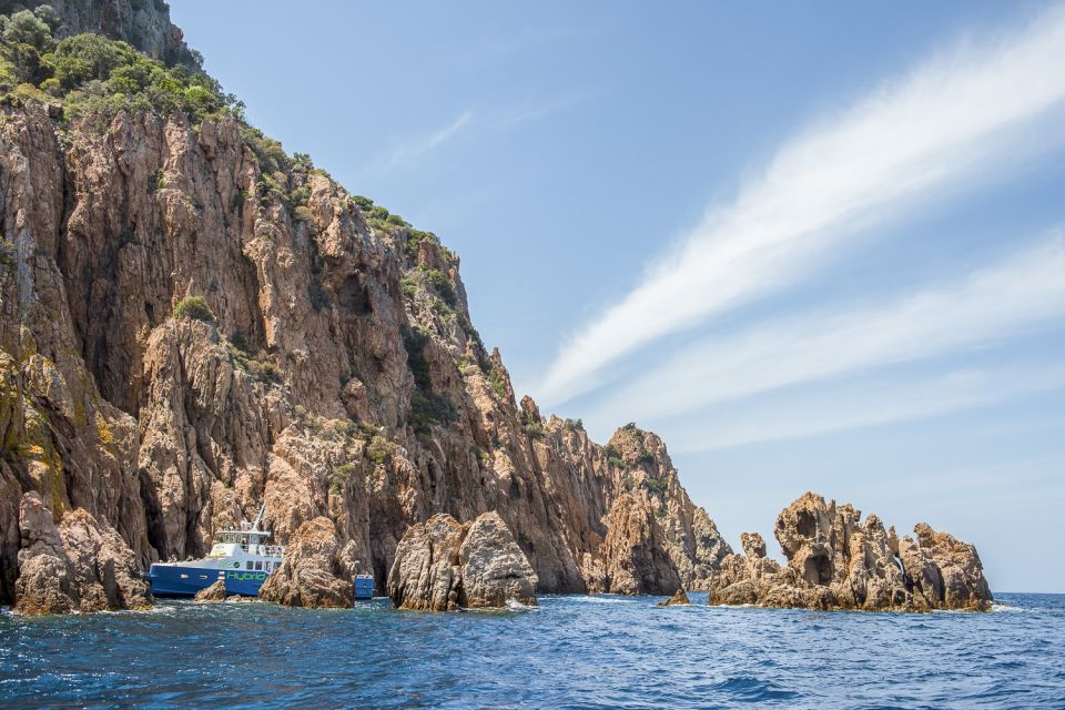 From Ota: Scandola Nature Reserve Eco-Friendly Boat Tour - Endemic Fauna and Birdlife