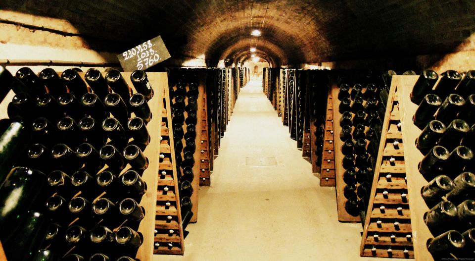 From Paris: Prestige Champagne Tour and Tastings - Champagne House Visits