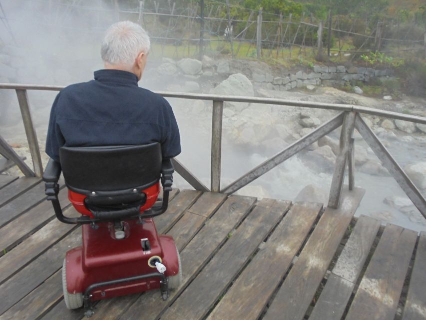 From Ponta Delgada: Furnas Wheelchair Accessible Van Tour - Panoramic Views From Pico Do Ferro