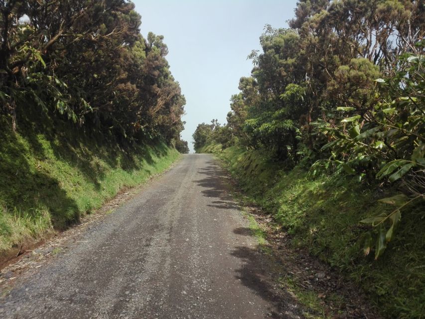 From Ponta Delgada: Sete Cidades Walk, Tasting and Kayaking - Kayaking Experience