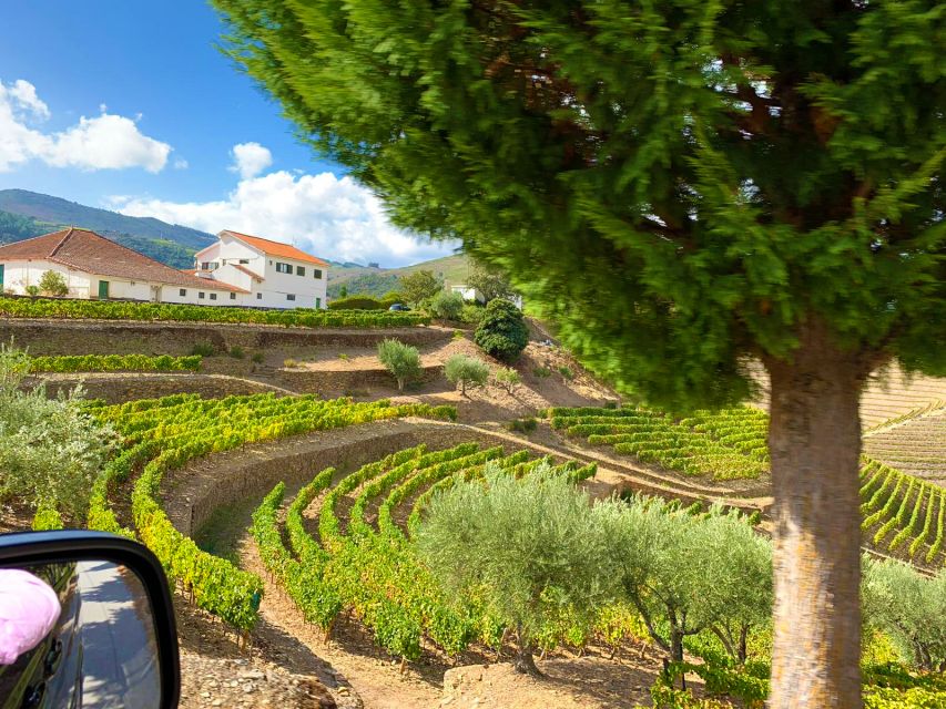 From Porto: Douro Valley Wine Tour With River Cruise & Lunch - Traditional Portuguese Lunch