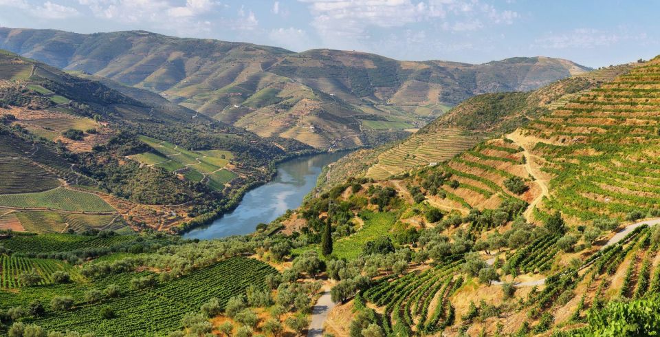 From Porto: Full Day Douro Pinhaõ/Régua Tour With Everything Included - Boat Ride on Douro River