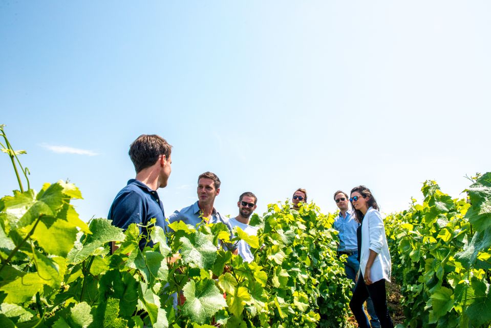 From Reims: Morning Champagne Tour and Tastings - Tour Duration