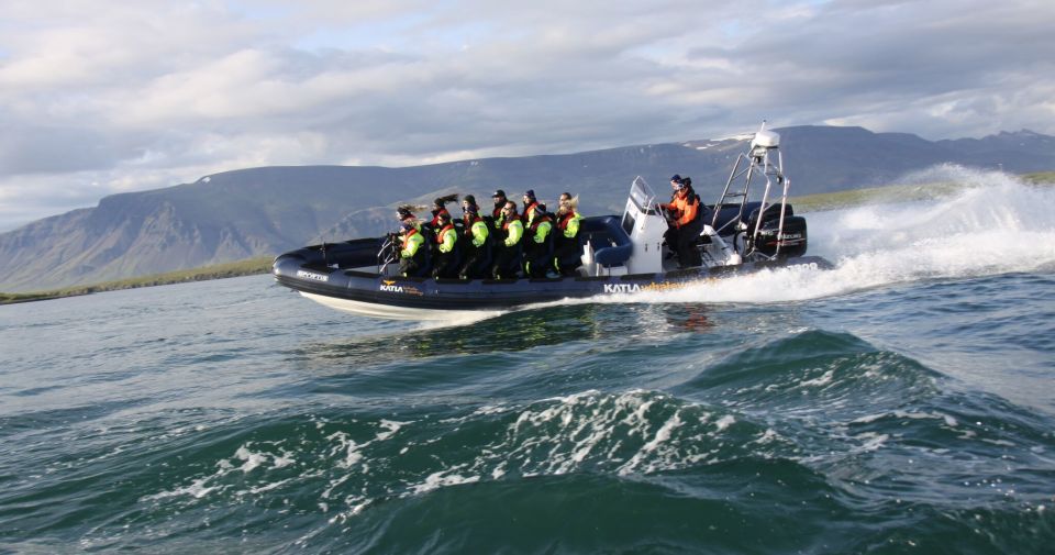 From Reykjavik: Whale Watching Tour by Speedboat - Sighting Guarantee and Weather Conditions