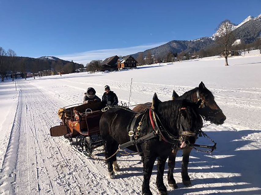 From Salzburg: 8-Hour Tour With Horse-Drawn Sleigh Ride - Reservation and Payment