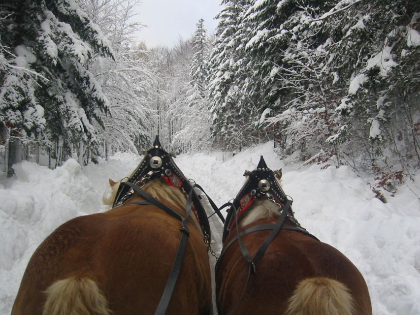 From Salzburg: Romantic Sleigh Ride Through the Countryside - Important Information