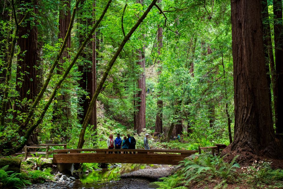 From San Francisco: Muir Woods Redwood Forest Tour - Important Information