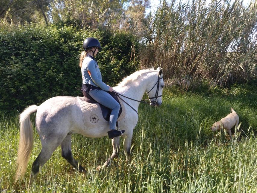 From Seville: Andalusian Horseback Ride - Authentic Rural Experience