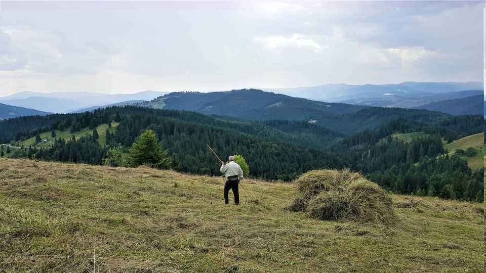 From Suceava: Painted Monasteries of Bucovina Day Trip - Guided Tour Experience