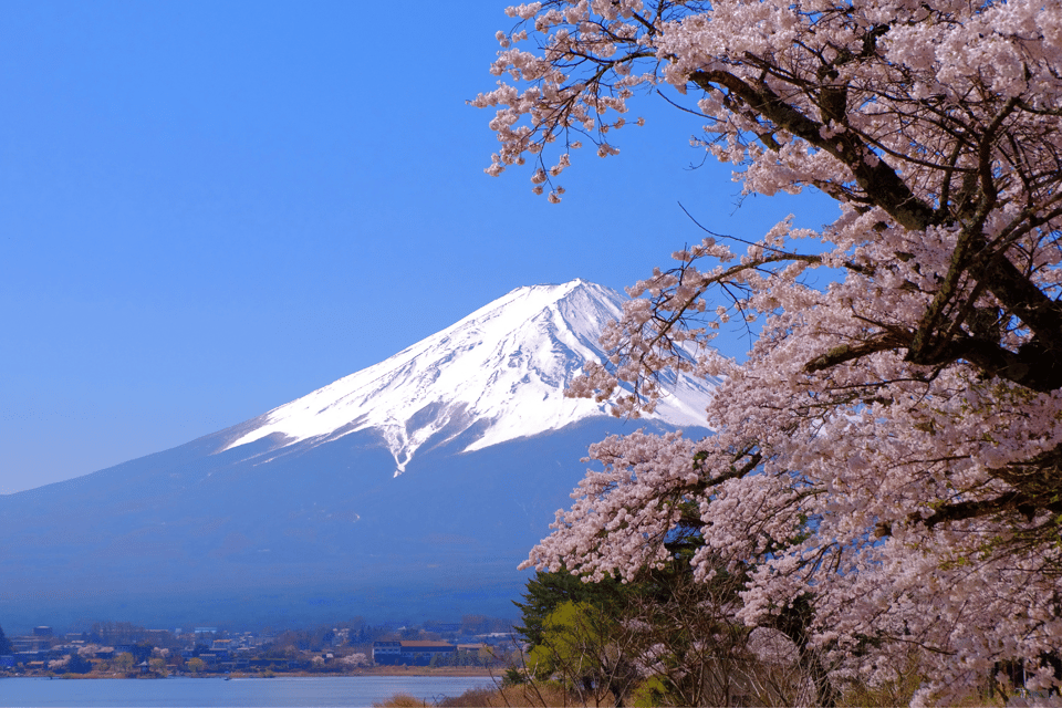 From Tokyo: Mount Fuji and Fuji 5 Lakes Private Guided Tour - Oshino Hakkai Village