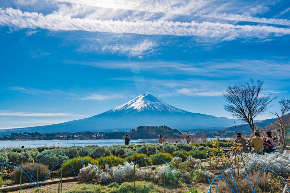 From Tokyo: Mount Fuji Highlight Photo Spots Full-Day Tour - Inclusions and Recommendations