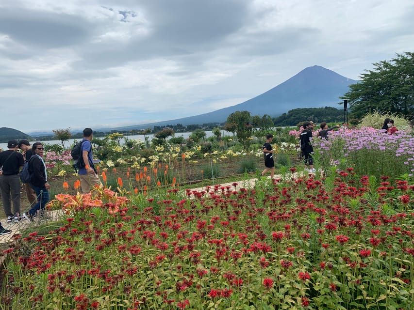 From Tokyo: Mount Fuji Sightseeing Private Group Tour - Languages and Accessibility