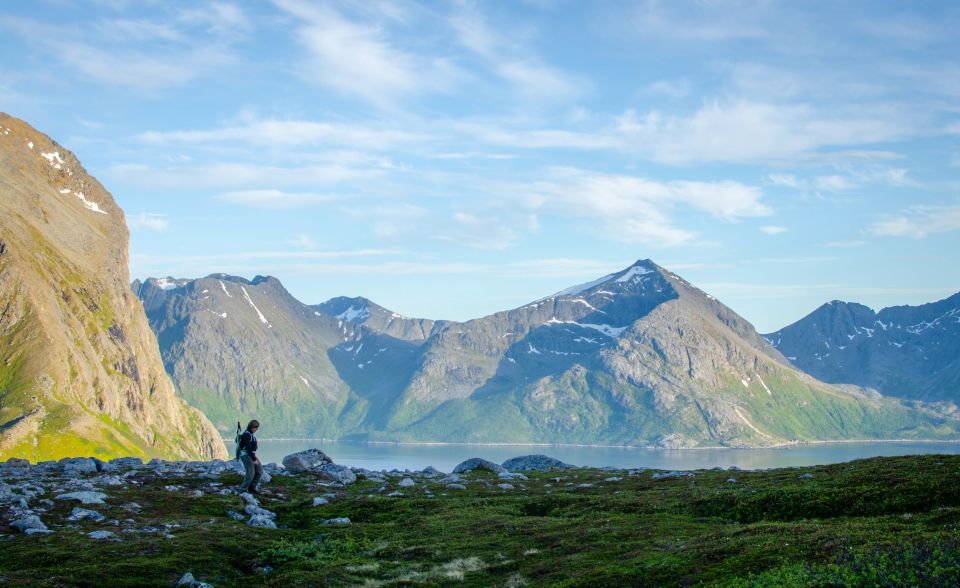 From Tromsø: Small Group Hiking Tour to Brosmetinden - Spotting Native Wildlife