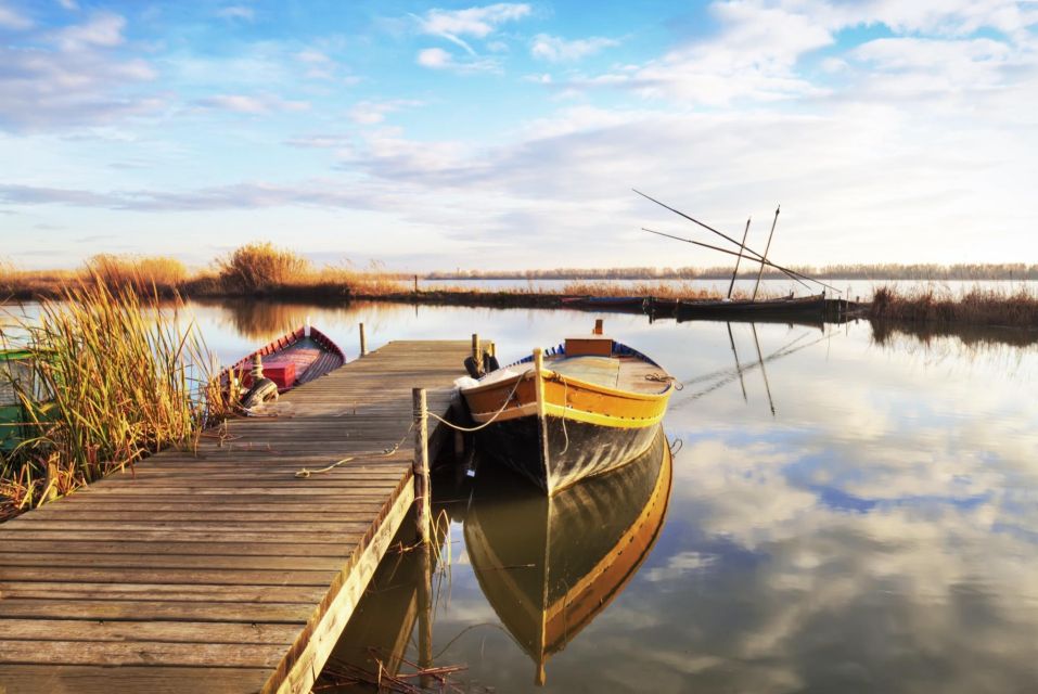 From Valencia: Albufera Tour With Paella, Boat Ride & Walk - Birdwatching Tower