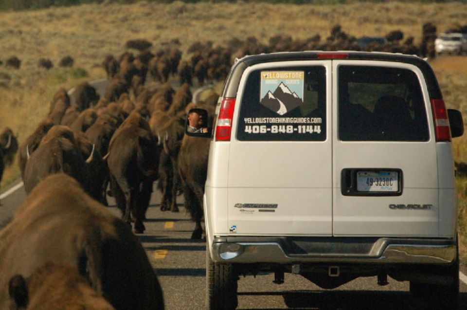 From West Yellowstone: Lamar Valley Wildlife Tour by Van - Unsuitable for Certain Guests