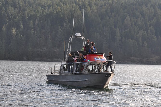 Full Day Grizzly Bear Tour to Toba Inlet - Viewing Grizzly Bears