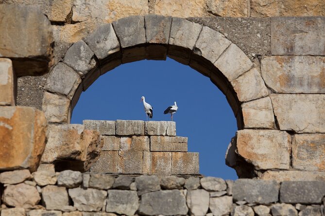 Full-Day Historical Tour to Meknes Volubilis and Moulay Idriss - Accessibility and Participation