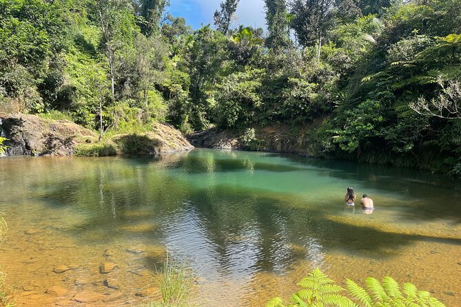 Full-Day Tour of Guavate and Charco Azul in Puerto Rico - Additional Tour Information