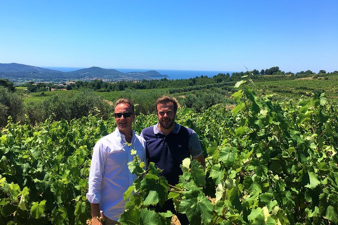 Full-Day Wine Tour Around Bandol & Cassis From Marseille - Wine Regions Visited