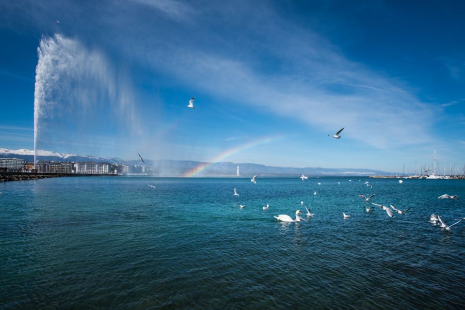 Geneva: Scenic Lake Cruise With Snacks and Wine - Boat Features