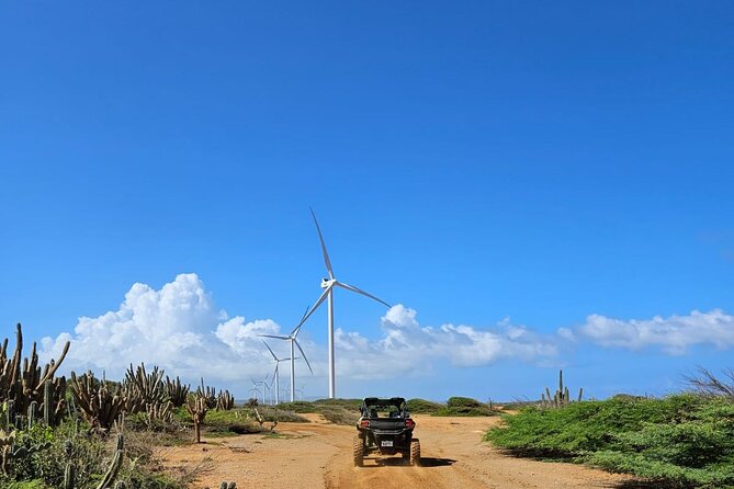 Go West Buggy Adventure - Customer Feedback and Experiences